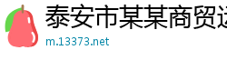 泰安市某某商贸运营部